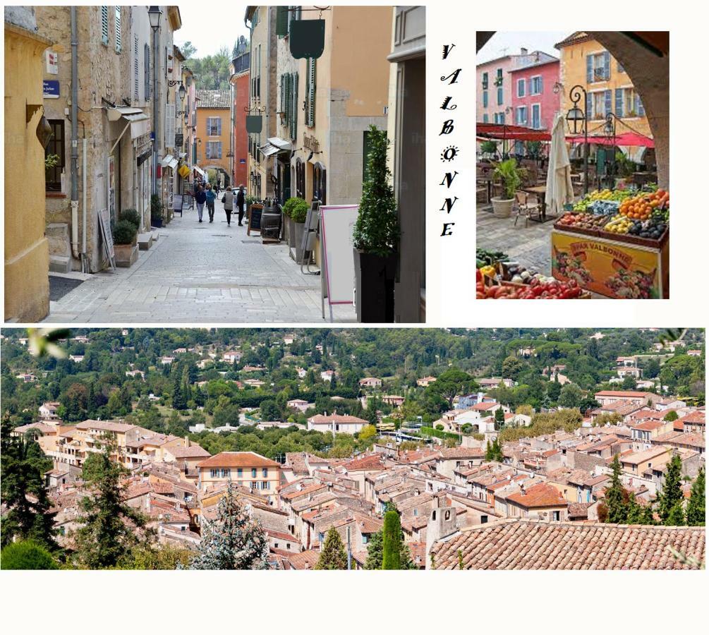 Les Chenes Verts Valbonne Exteriör bild